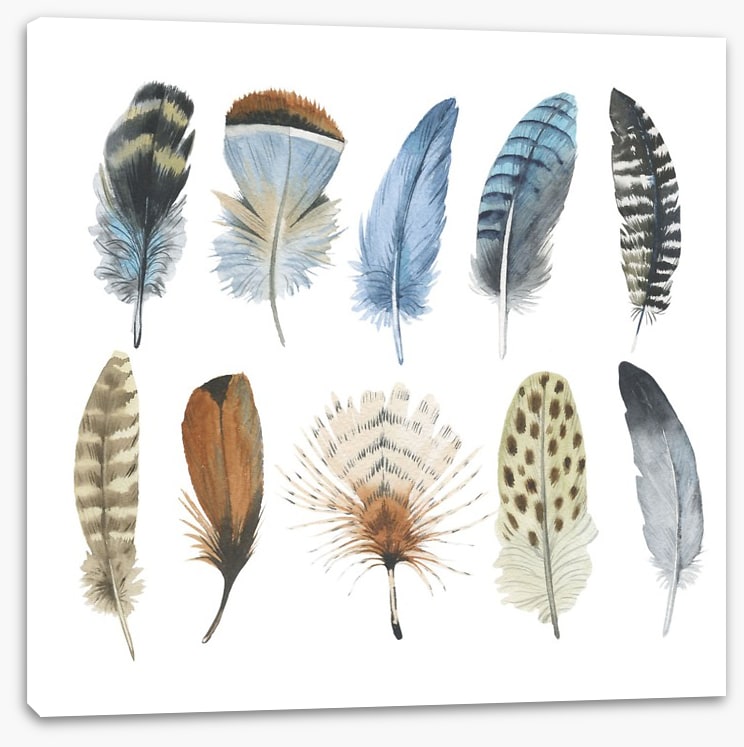 Feather me plumes