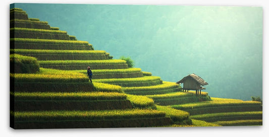 Asia