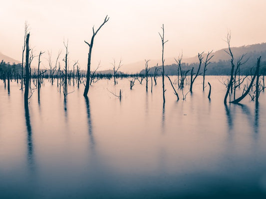 Tasmania