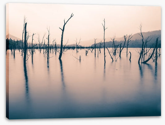 Tasmania