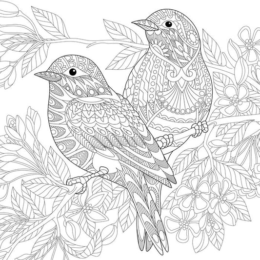 Colour me birds