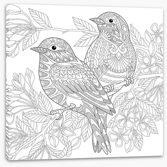 Colour me birds
