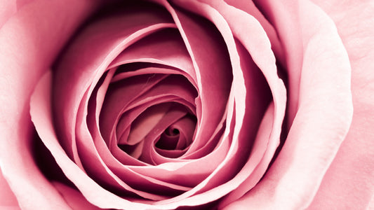 Delicate petals