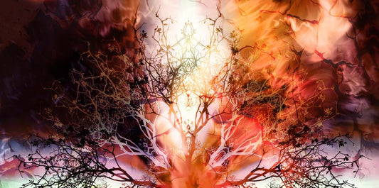 The burning tree