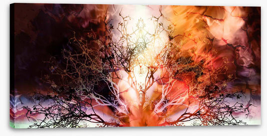 The burning tree