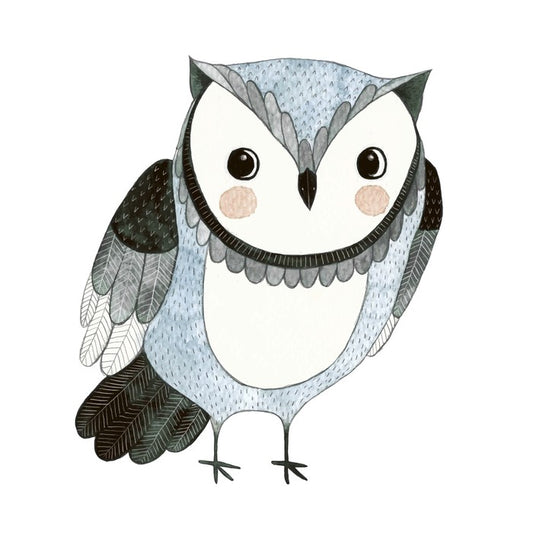 Owls