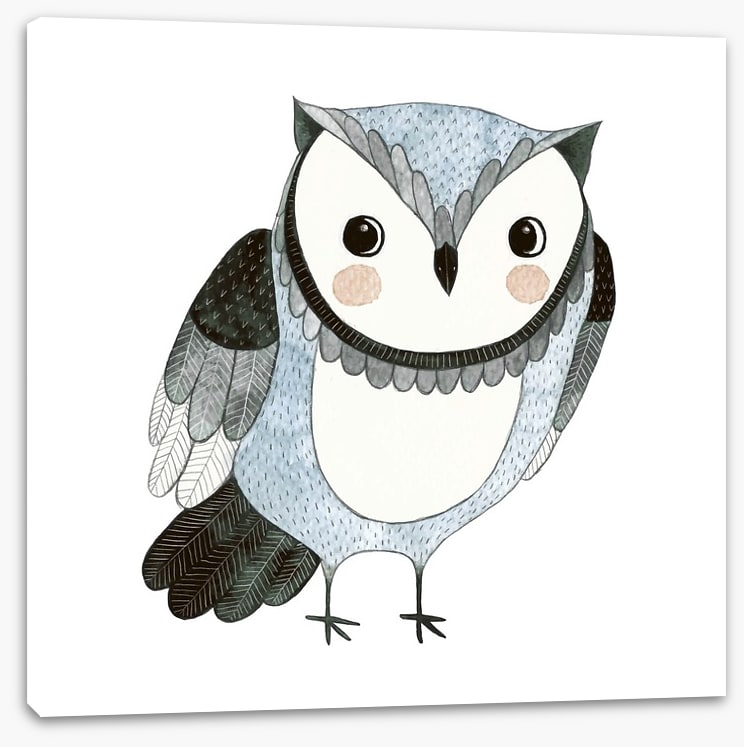 Owls