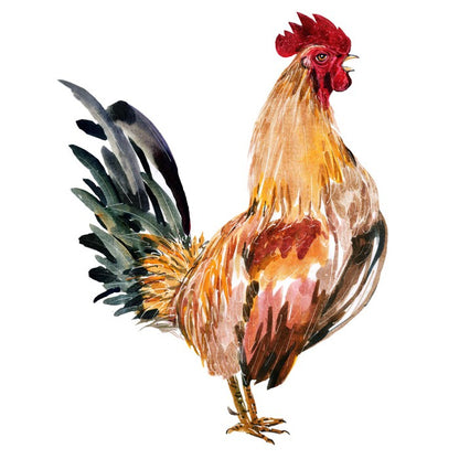Chicken licken