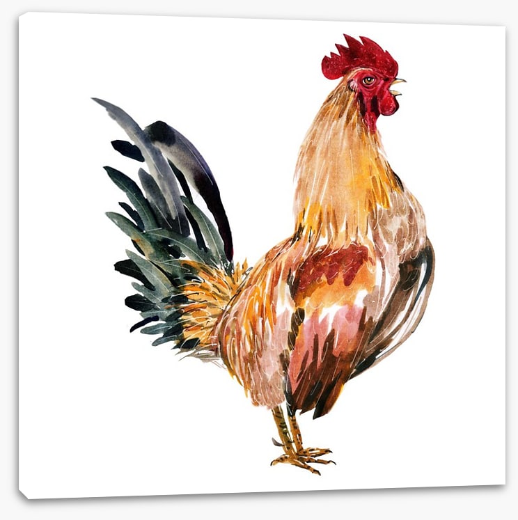 Chicken licken