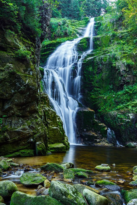 Gracefully green