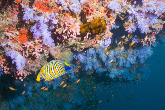 Underwater