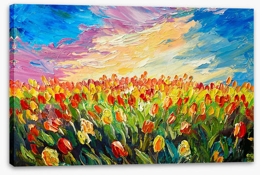 Tulips at sunrise
