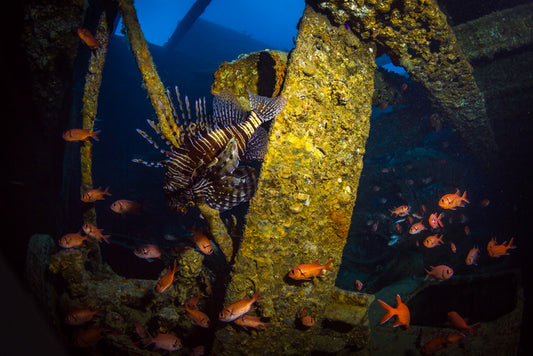 Underwater