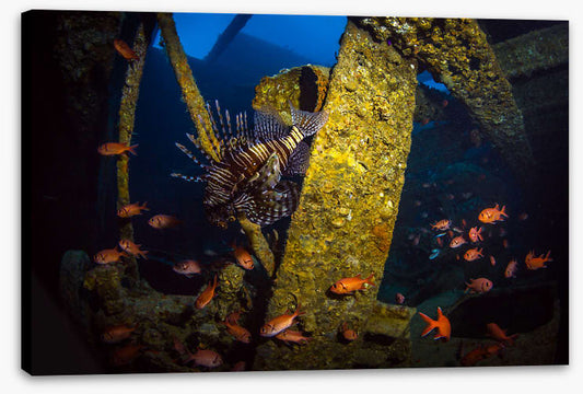 Underwater