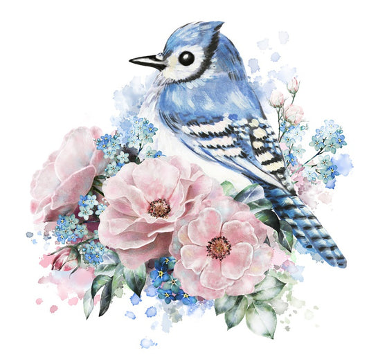 Forget me not jay