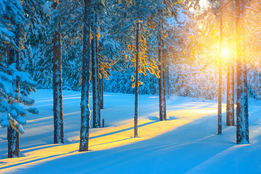 Sunbeam in the snow