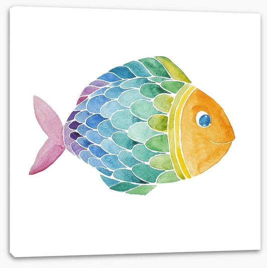 Rainbow fish