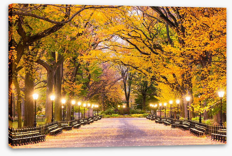 Fall at the Mall