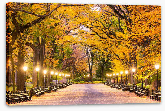 Fall at the Mall