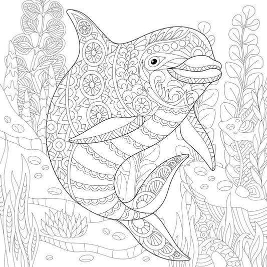 Colour me dolphin
