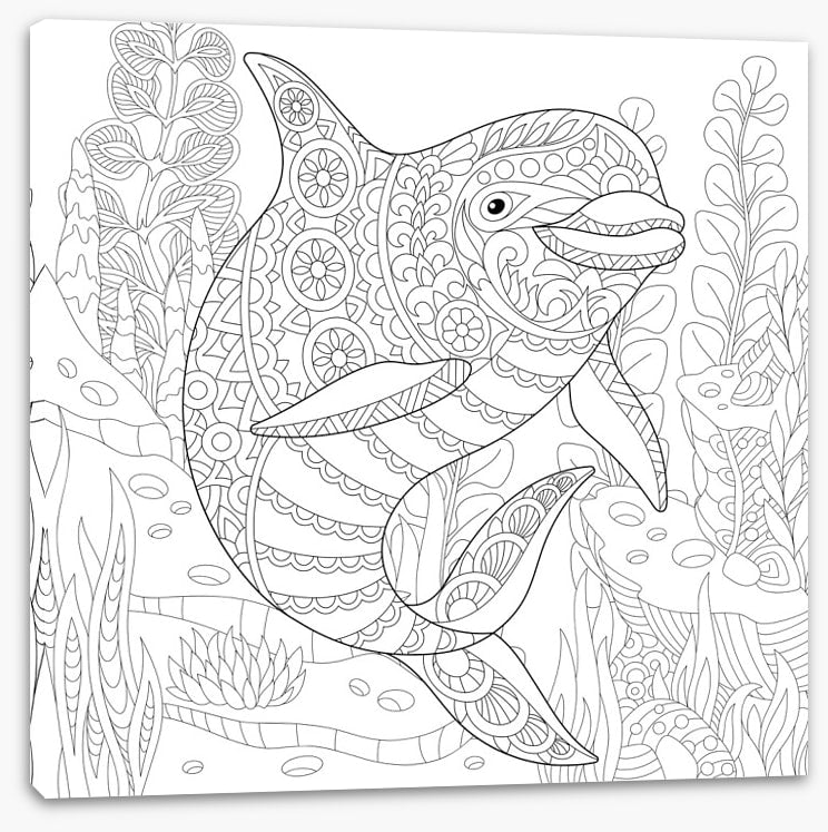 Colour me dolphin