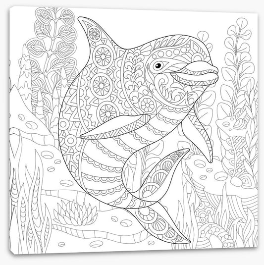 Colour me dolphin