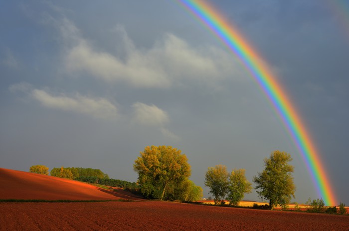 Rainbows