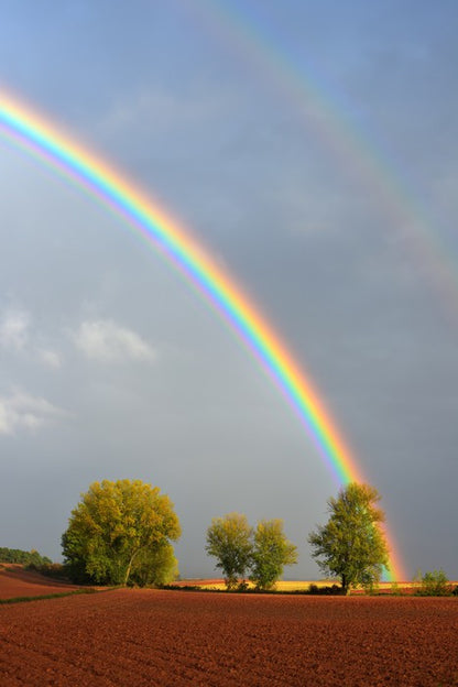 Rainbows