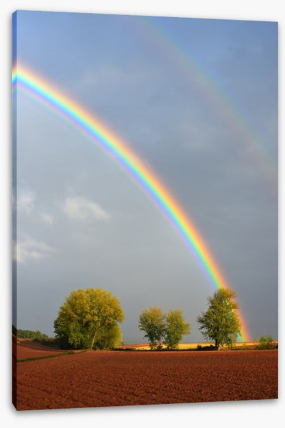 Rainbows