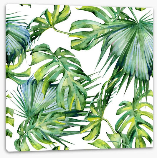 Tropical jungle leaves