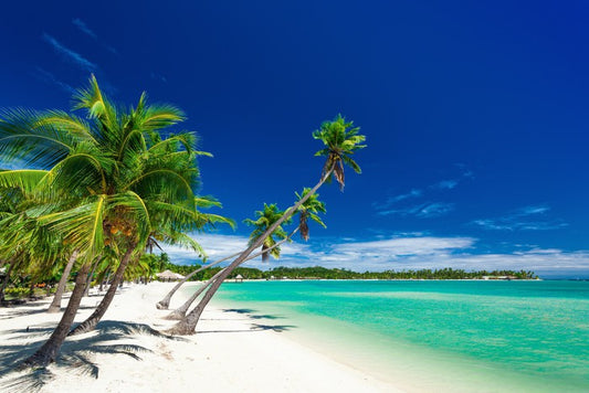 Plantation Island, Fiji