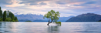Lake Wanaka panoramic