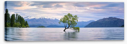 Lake Wanaka panoramic