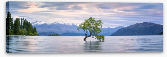 Lake Wanaka panoramic