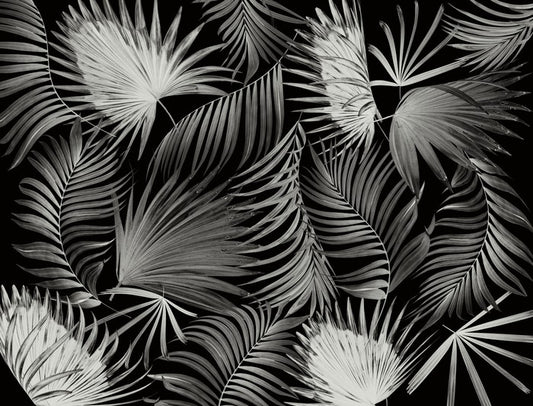 Palms in the dark