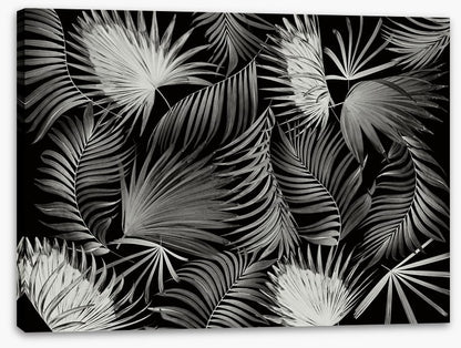 Palms in the dark