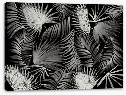 Palms in the dark