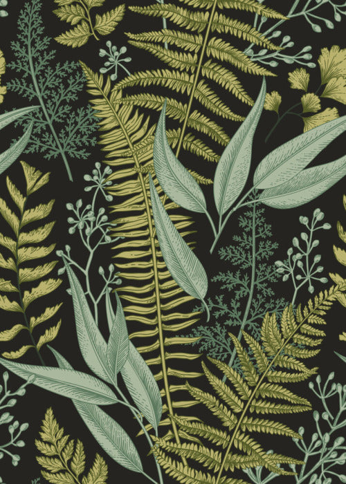 Ferny friends 2