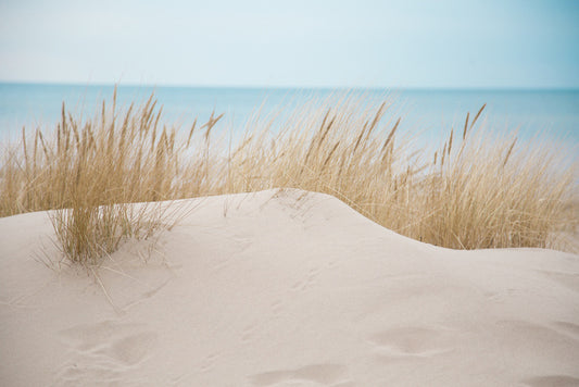 Sandgrass shores