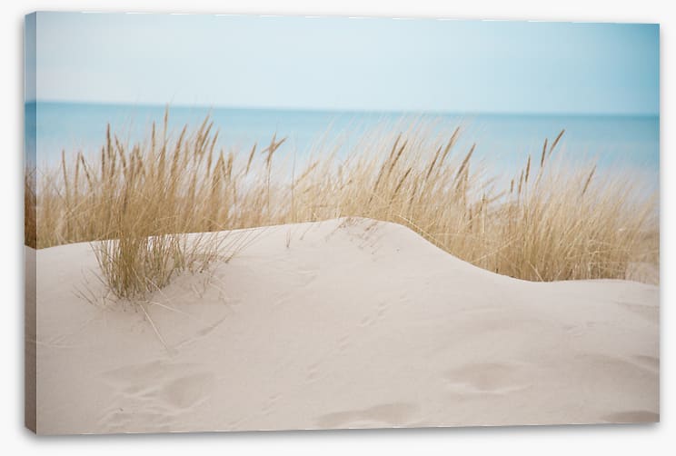 Sandgrass shores