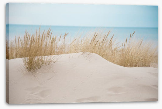 Sandgrass shores