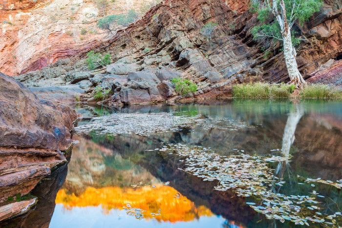 Hamersley Gorge, Karijini