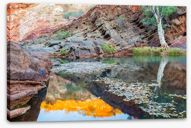 Hamersley Gorge, Karijini