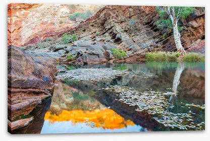 Hamersley Gorge, Karijini