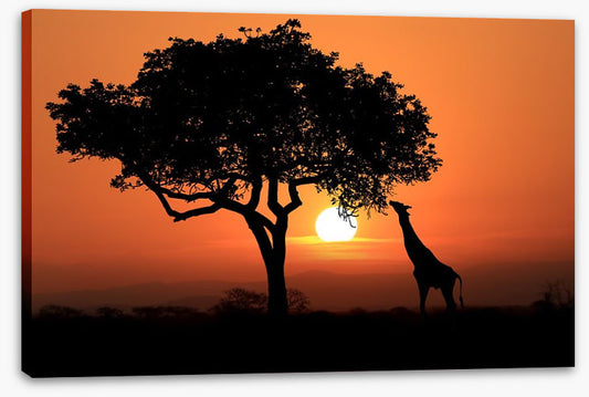 Savanna supper