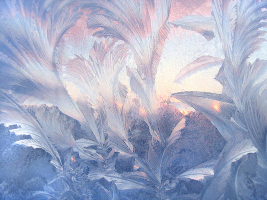 A frozen moment