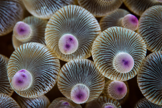 Underwater