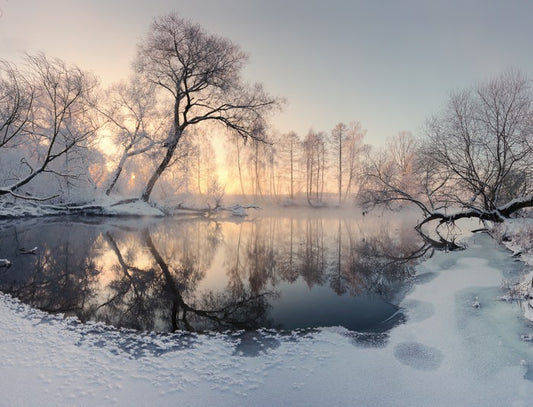 Frosty morning pond