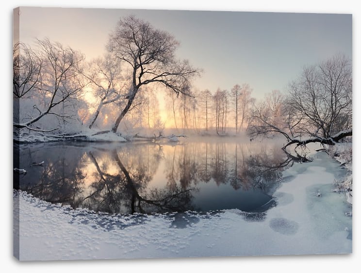 Frosty morning pond