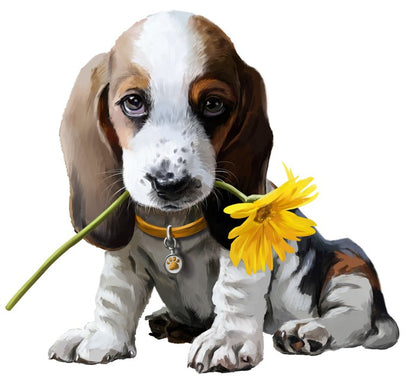 Beagle bouquet